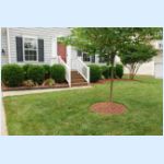 01_Tree_and_Front_Garden.jpg